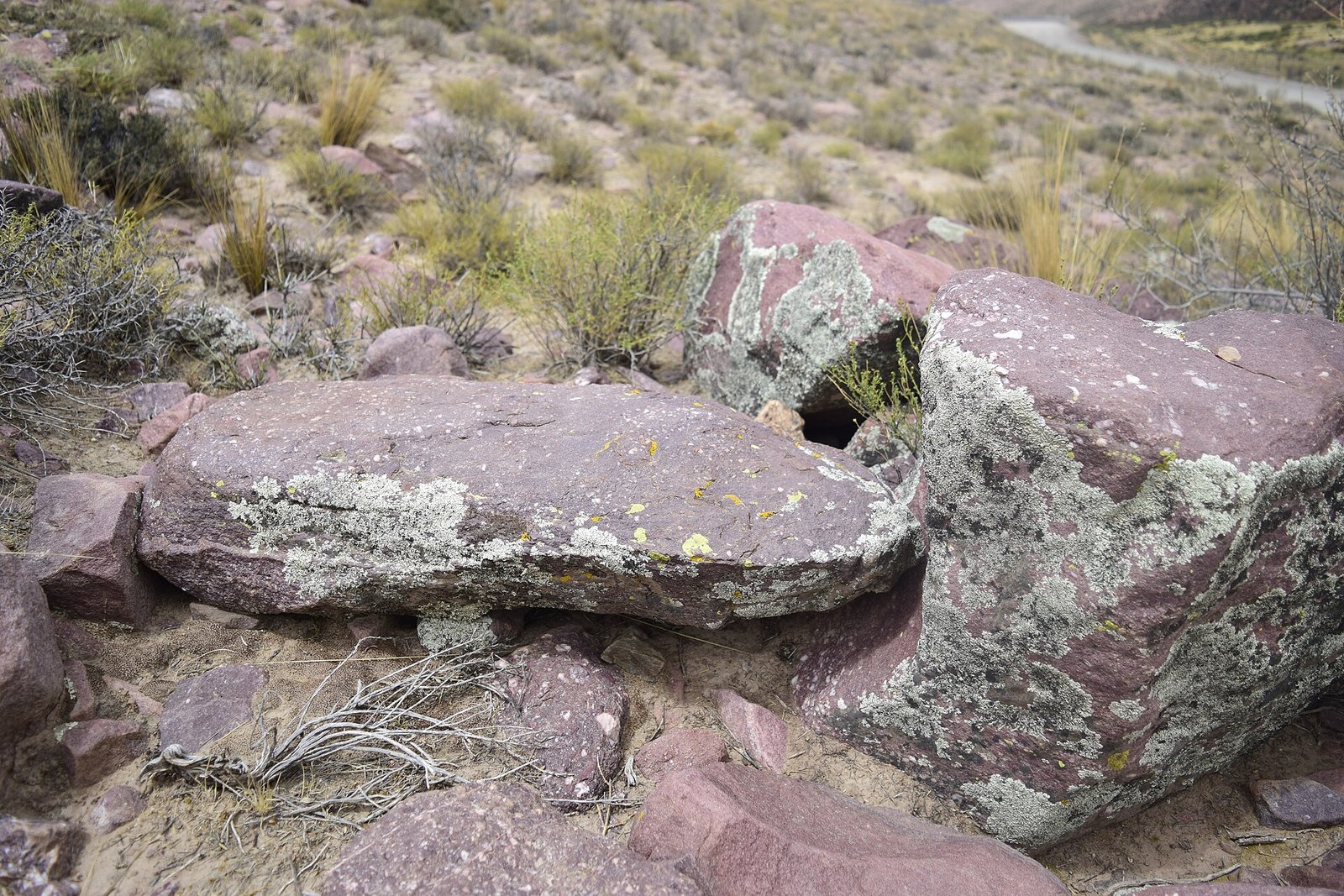 Jujuy